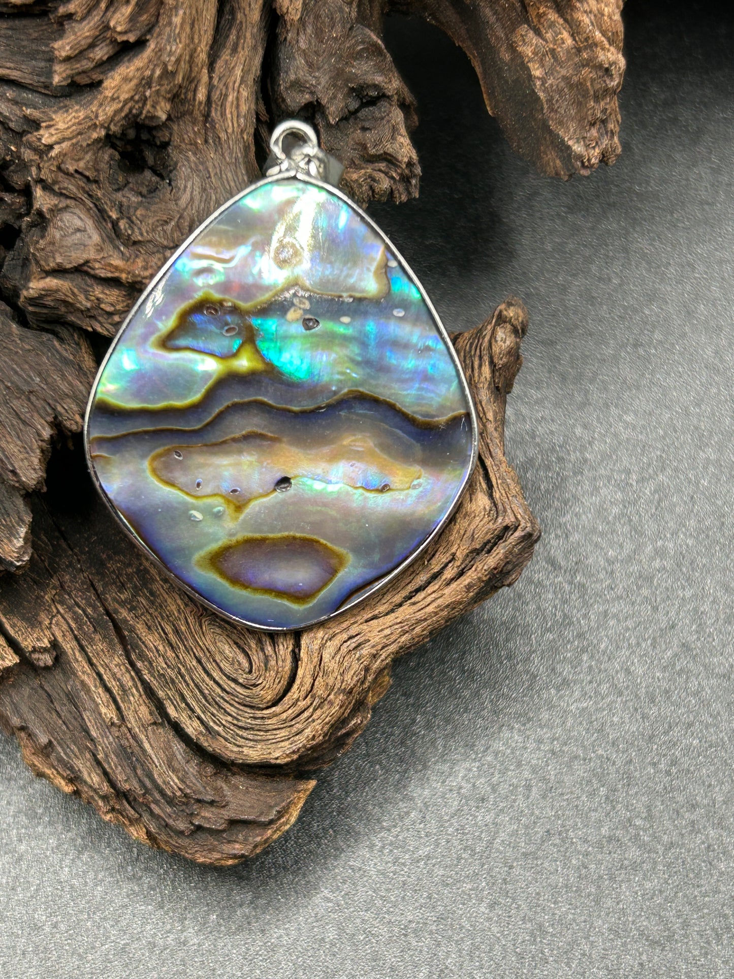 Abalone Muschel
