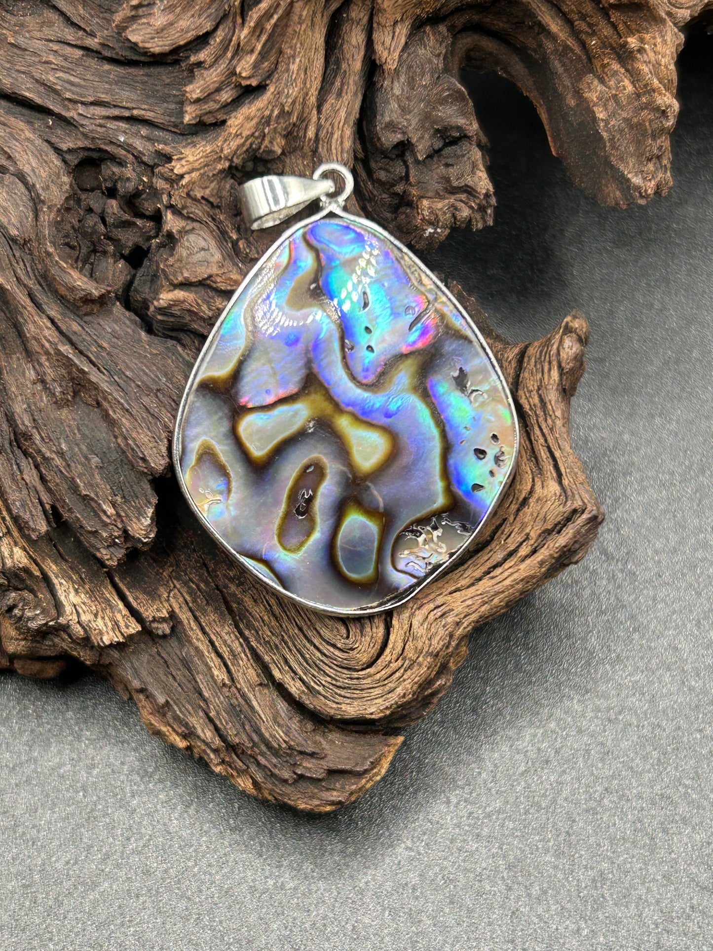 Abalone Muschel