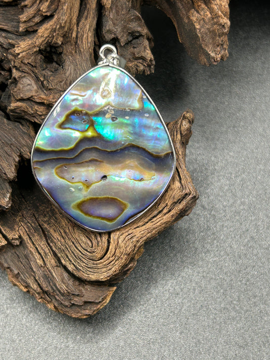 Abalone Muschel