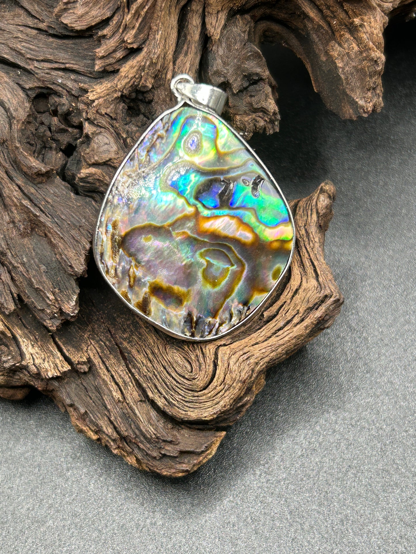 Abalone Muschel